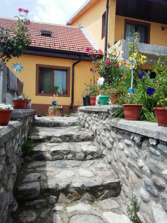 Appartement Casa Darius à Orşova Extérieur photo